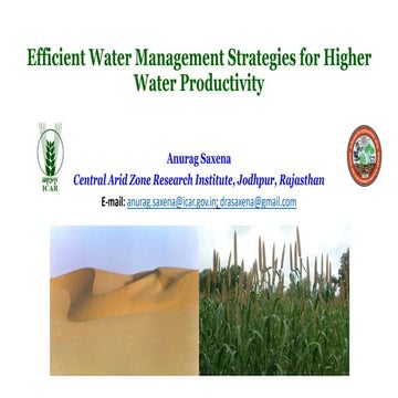 Efficient water management strategies for higher water productivity in arid r...