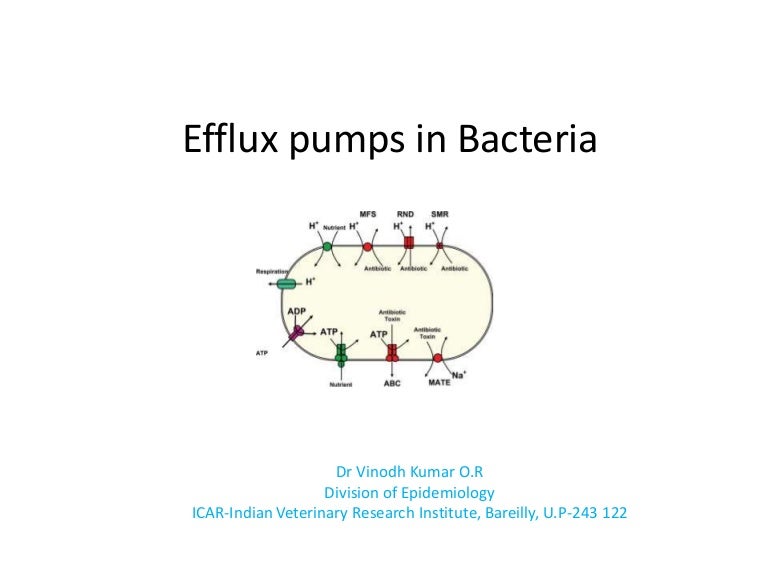 Efflux pump