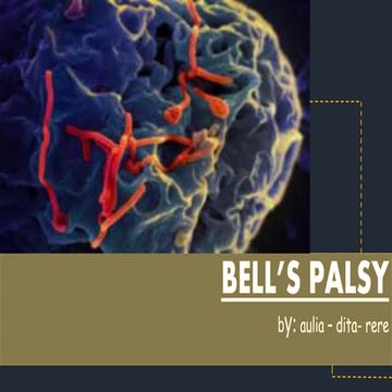 BELL'S PALSY 