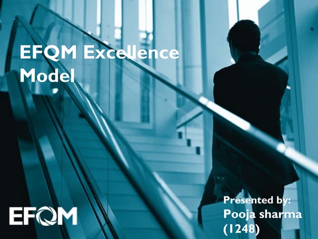 EFQM Self Assessment Questionnaire | PDF