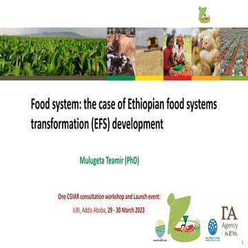 Food system: The case of Ethiopian food systems transformation (EFS) development