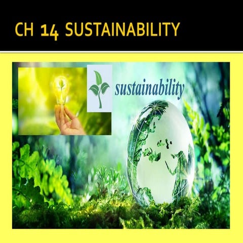 CH 14 SUSTAINABILITY | PPTX