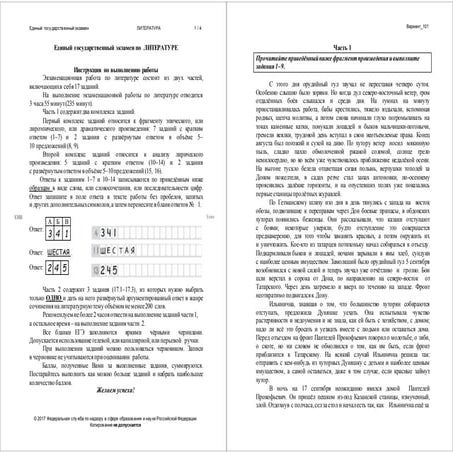 Тест с досрочного экзамена по литературе 2017