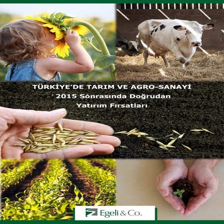EgeliCo Tarım Raporu_2015
