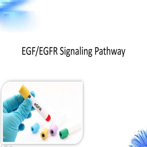Egf egfr signaling pathway-creative diagnostics