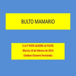 Actitud ante un nodulo mamario