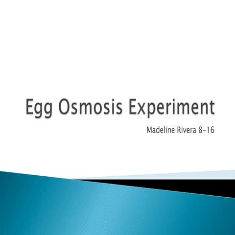 Madeline Rivera 8-16 Egg Osmosis Experiment