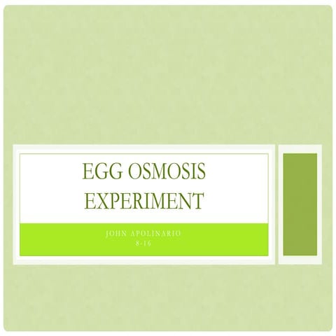 Egg osmosis experiment