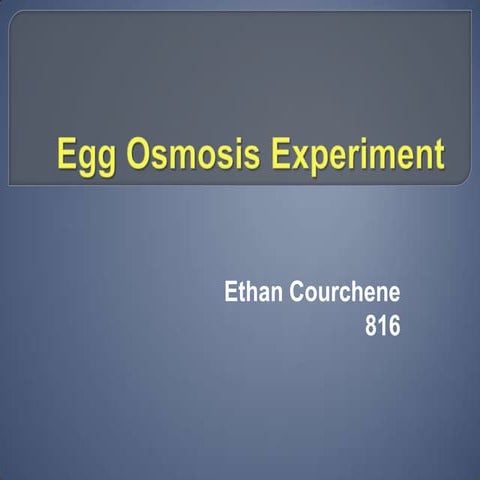Egg osmosis experiment
