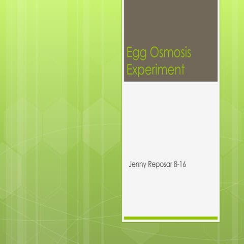 Egg osmosis experiment Jenny 816