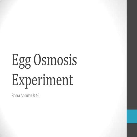 Egg osmosis experiment Shera 8-16