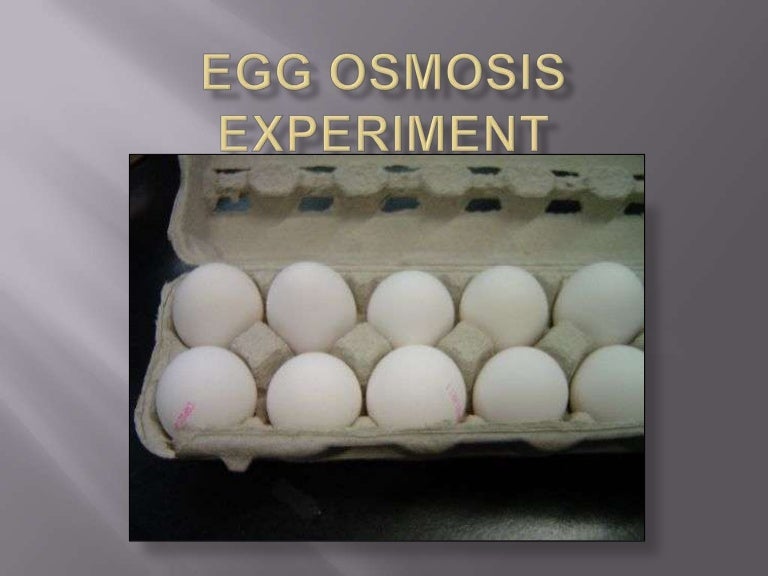 Alex's Egg osmosis Experiment