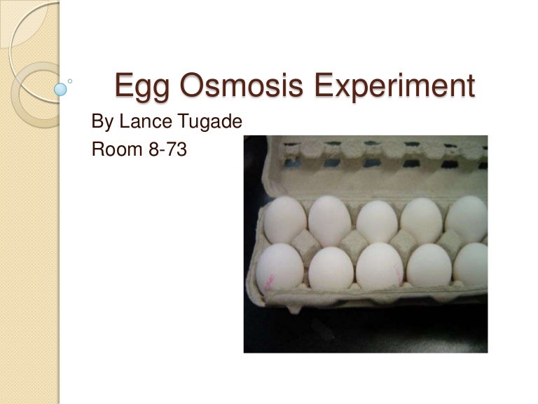 Lance's Egg osmosis experiment