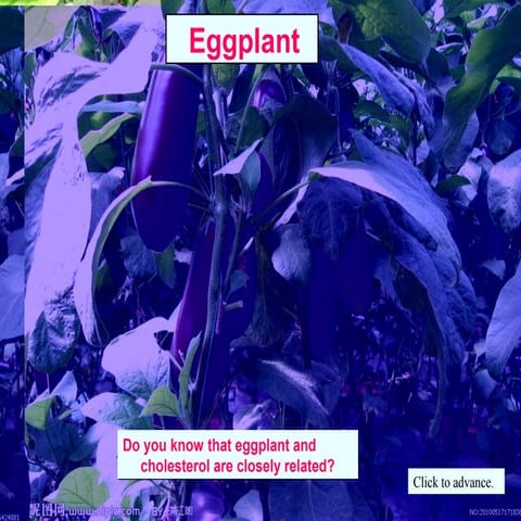 Eggplant for health