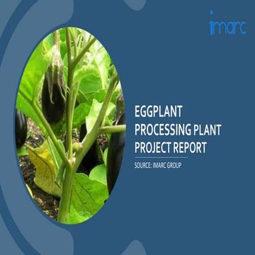 Eggplant Processing Plant Project Report.pptx