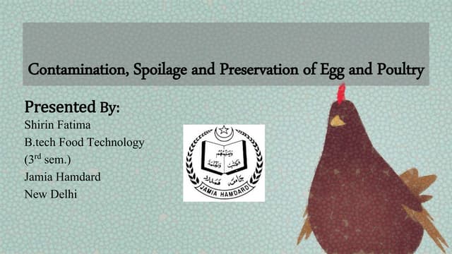Egg & poultry