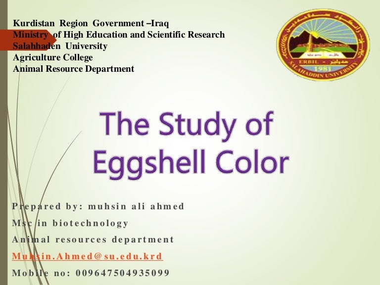 Egg shell color