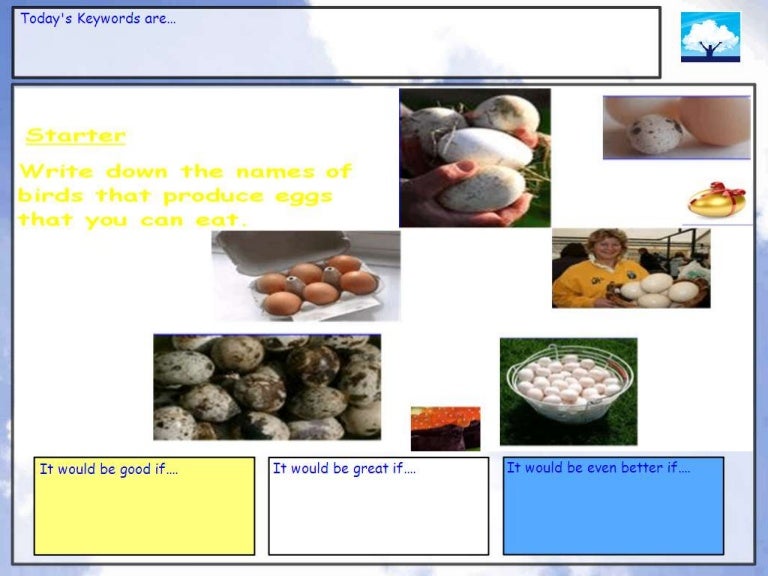 Eggs powerpoint for gcse