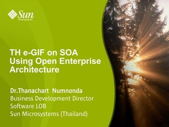 TH e-GIF on SOA Using Open Enterprise Architecture