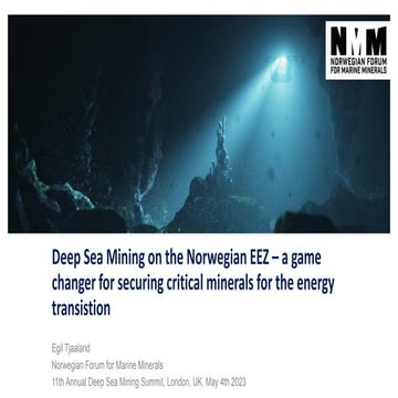DSM ON THE NORWEGIAN EXTENDED CONTINENTAL SHELF – SECURING CRITICAL ...