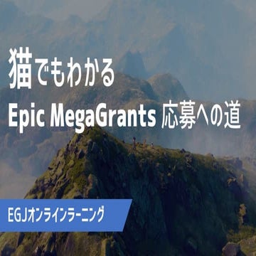 猫でもわかる Epic MegaGrants 応募への道