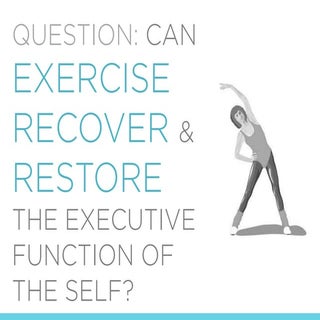 Can Exercise Increase Your Executiv...