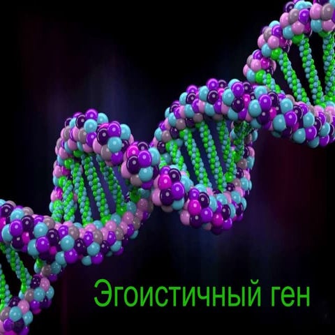 Эгоистичный ген | PPT