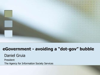 E government   avoiding a Dot Gov Bubble