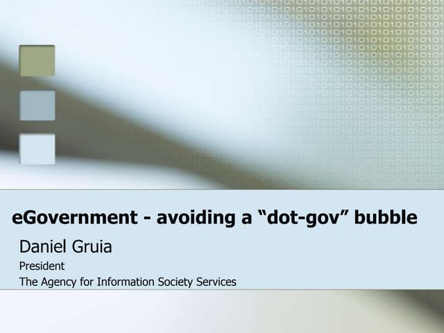 E government   avoiding a Dot Gov Bubble