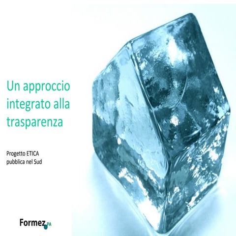 E govtrasparenza140411