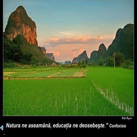 E greu sa fii destept