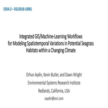 Integrated GIS/Machine-Learning Workflows - Seagrass Use Case