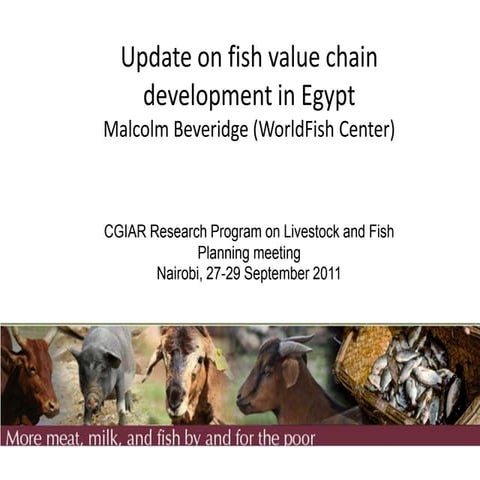 Update on fish value chain development in Egypt