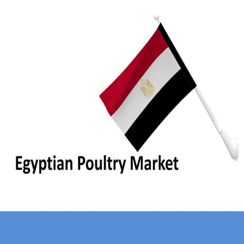 Egyptian Poultry Market Size