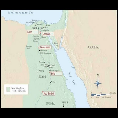 Egyptian (Pp Tminimizer)