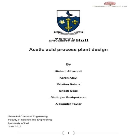 Acetic Acid Process Plant Design