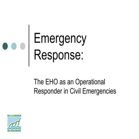 Eho presentation 140806 | PPT