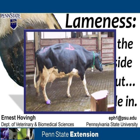 Clinical examination of Cattle | PPT
