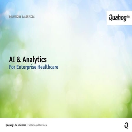 QuahogLife | Solutions and Services