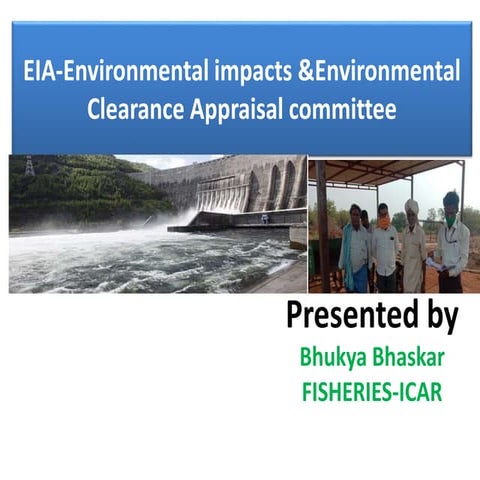 ENVIRONMENTAL IMPACT Assessment, concepts, mitigation, EC