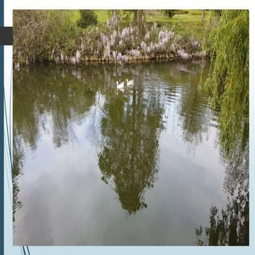 EI   and  EMPHATY  IN  SERVİCE  INDUSTRY