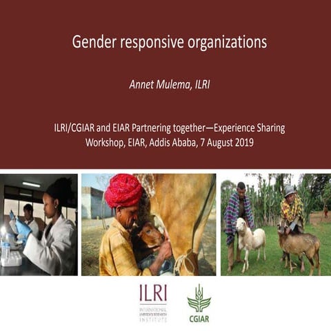 Gender responsive organizations