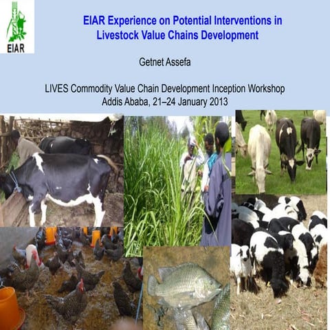 EIAR experience on potential interventions in livestock value chains developm...