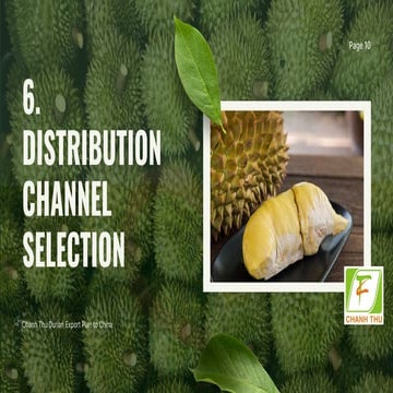 EIB PROJECT 2 Presentation - Export plan .pdf