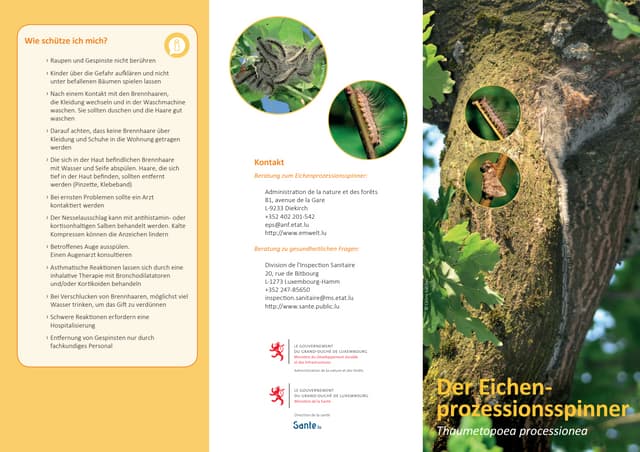 Eichenprozessionsspinner de