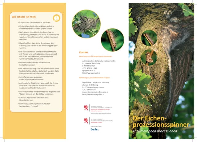 Eichenprozessionsspinner de 05052017_def