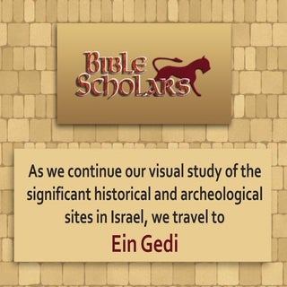 En Gedi, Israel - Bible Scholars - ...
