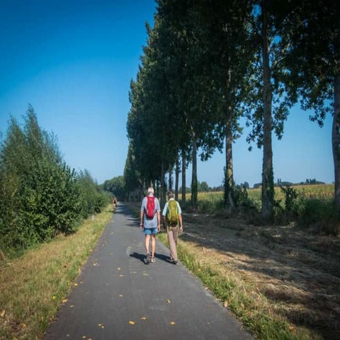 Eine weldenwandeling