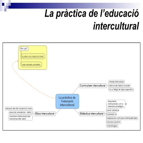 Pràctica de l'Educació Intercultural