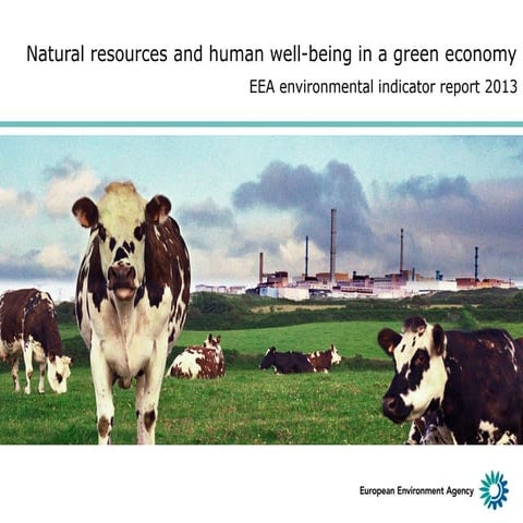 Natural resources and human well-being in a green economy - EEA environmental...